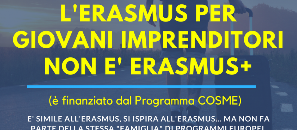 erasmusfacts12