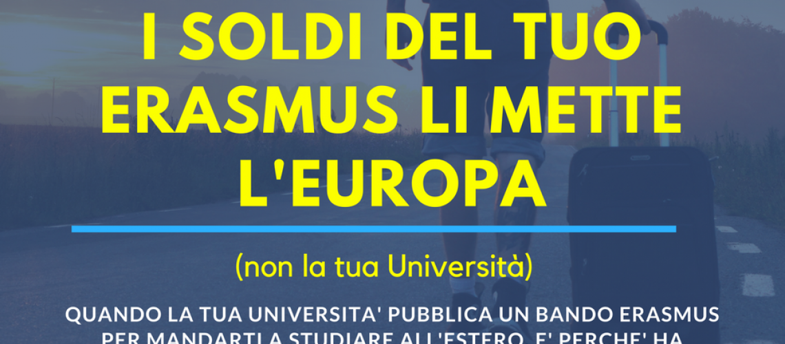 erasmusfacts4