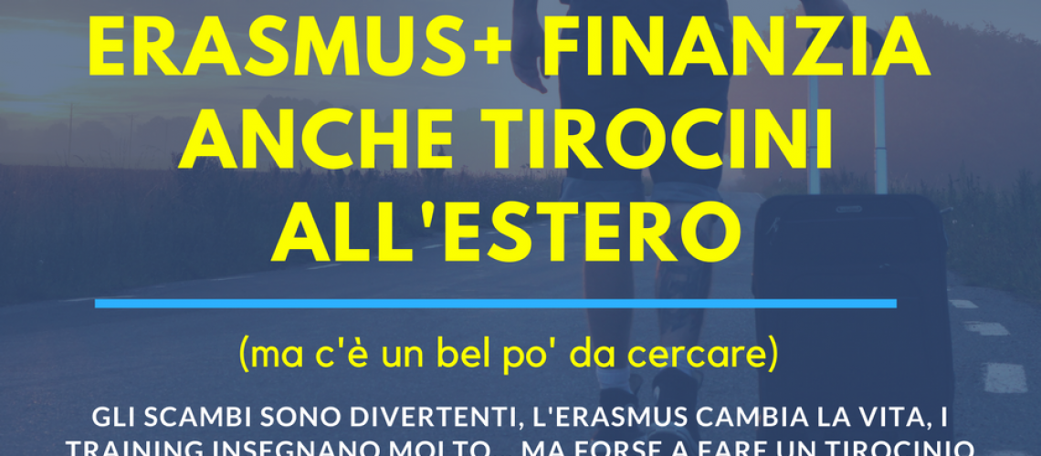 erasmusfacts7